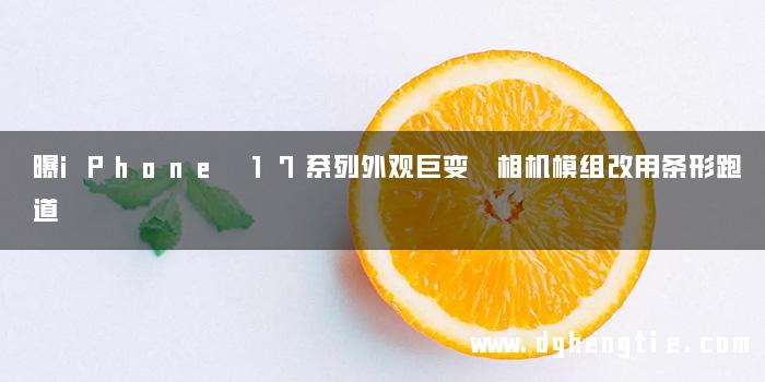 曝iPhone 17系列外观巨变 相机模组改用条形跑道